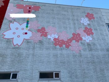 外壁の清掃を行いました(‘◇’)ゞ